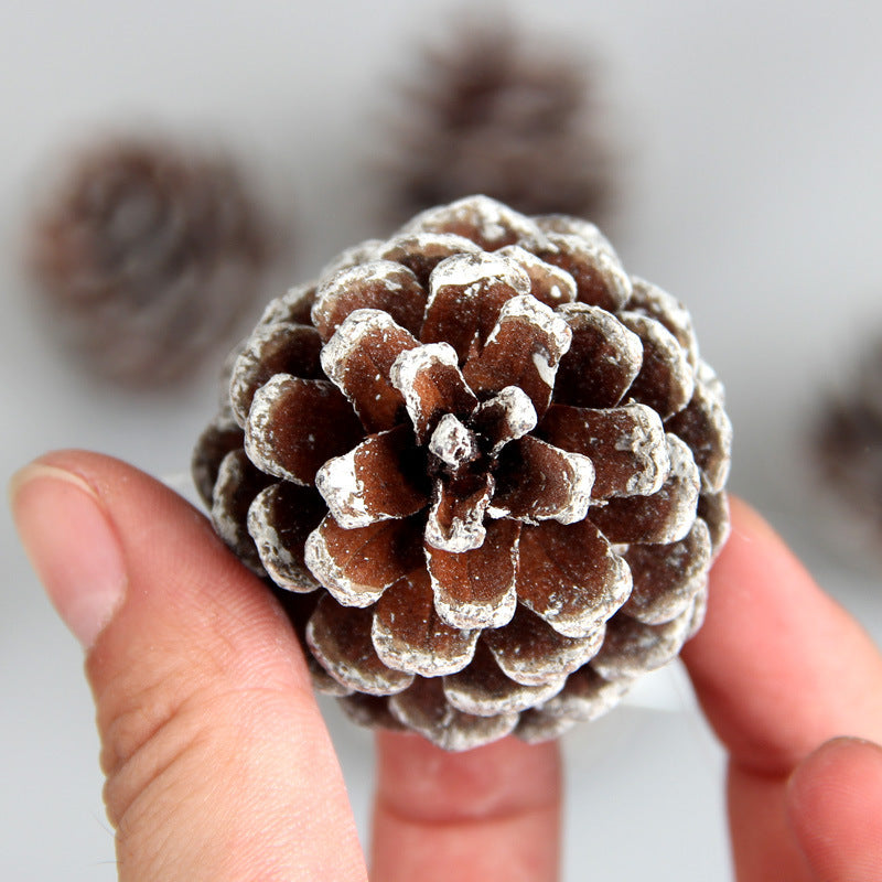 Pine Cones Decoration, Tipped White Edges.