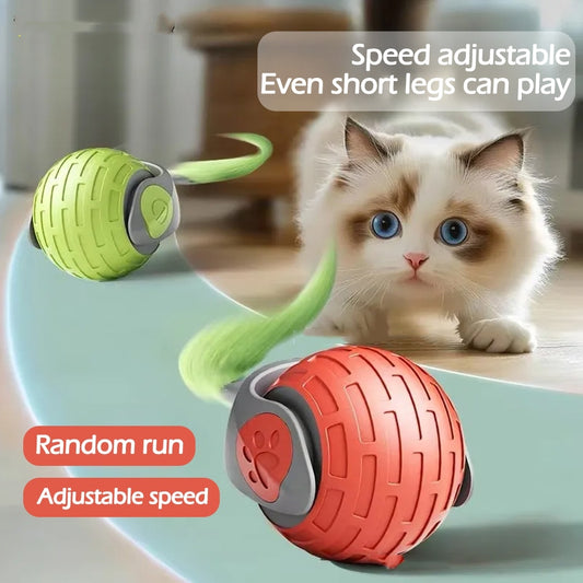 Interactive Cat Toy, USB Rechargeable.