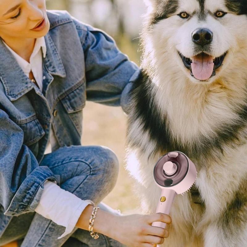 Steam Pet Spa Brushes, USB Rechargeable, Long And Short Hair Pets