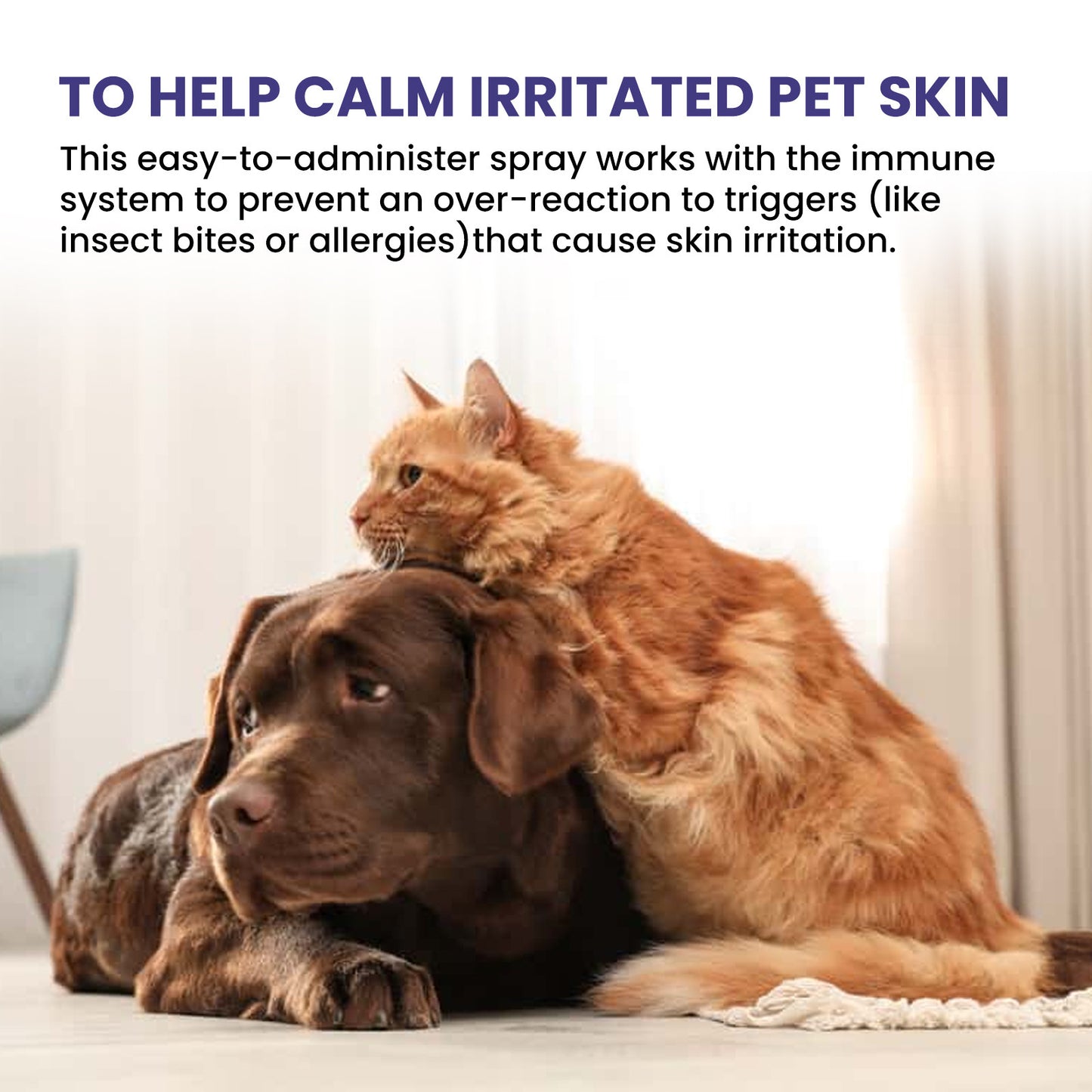 Pet Anti-Itch Spray