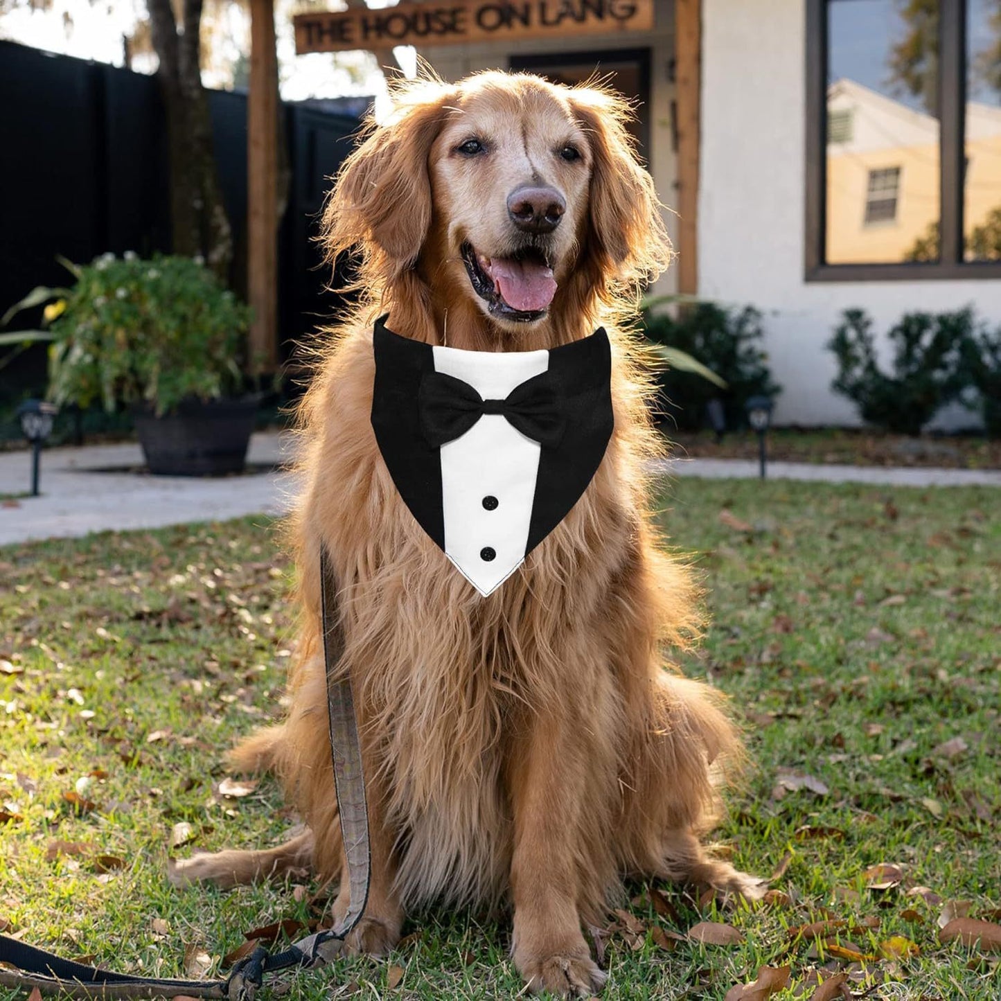 Tuxedo Suit With Bow Tie And Bandana For Dogs