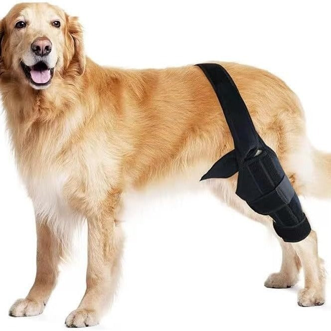 Pet Protective Gear, Dog Leg Injury Assistance, Support Bar, Rehabilitation Training Belt