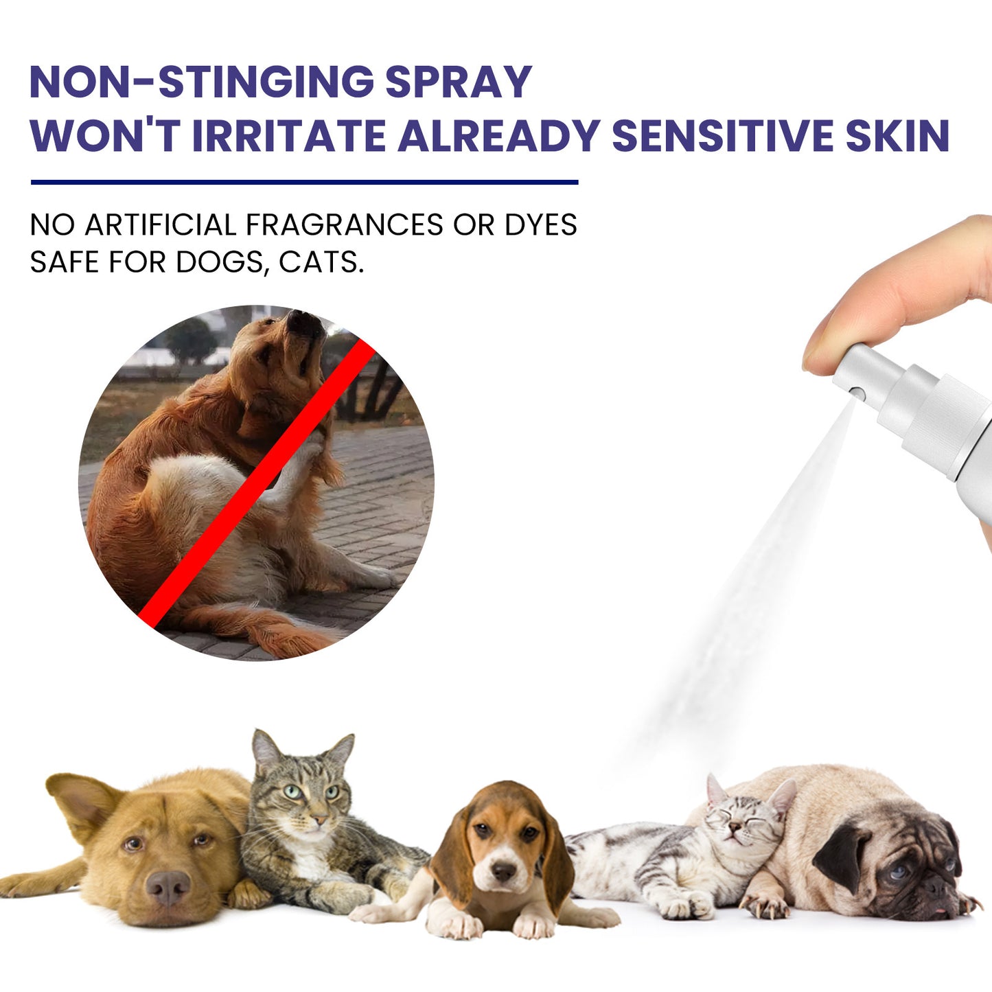 Pet Anti-Itch Spray