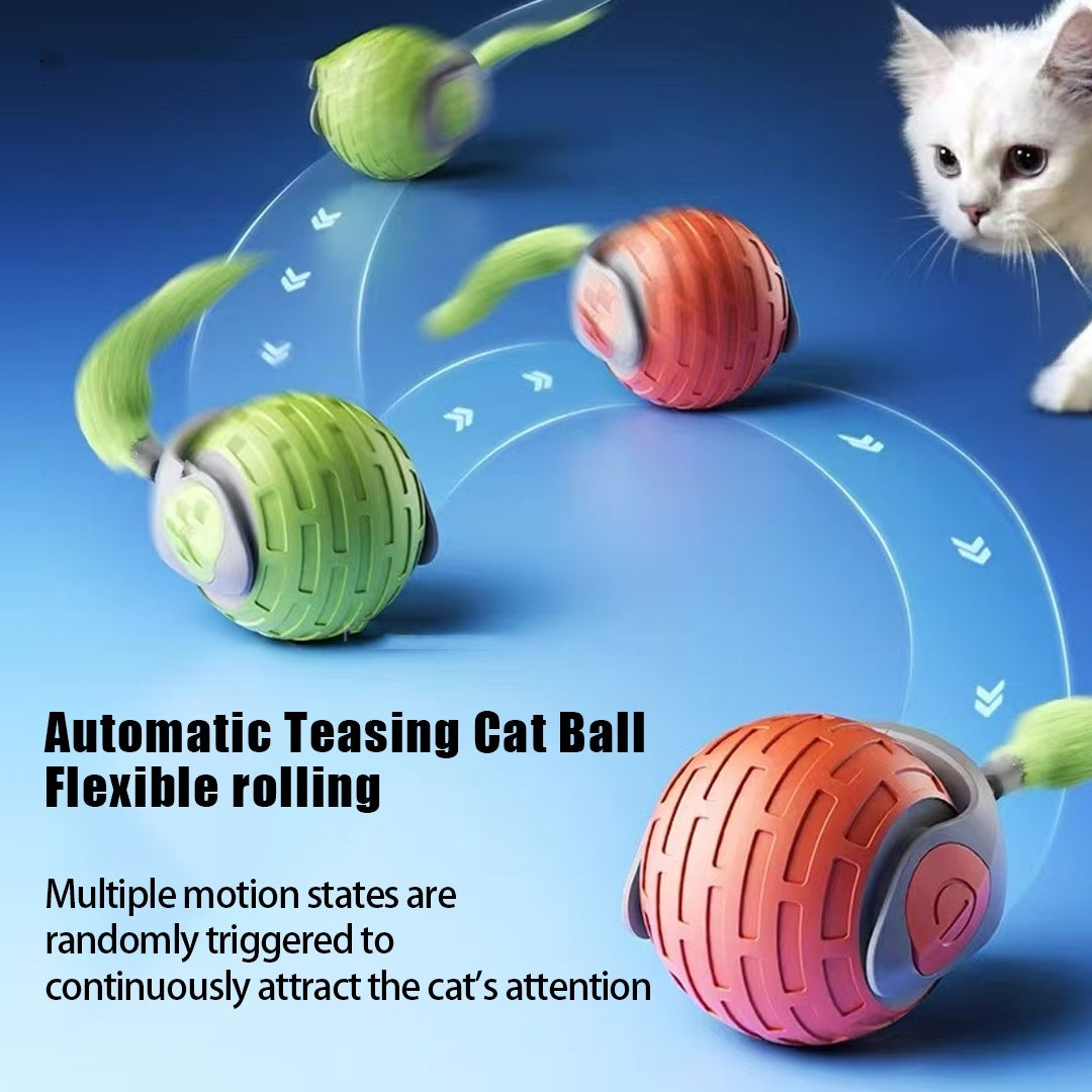Interactive Cat Toy, USB Rechargeable.