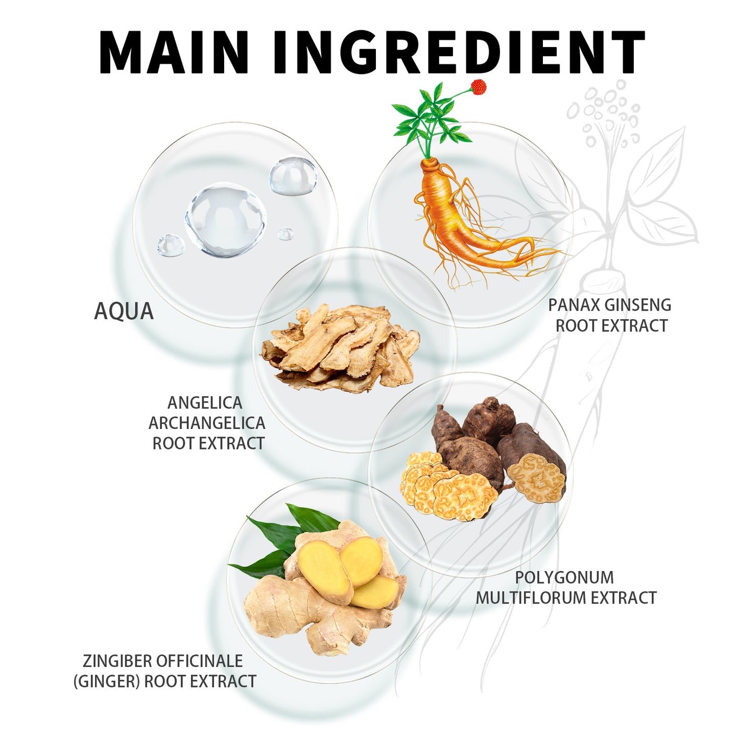 Natural Black Hair, Soft Glossy, Shampoo