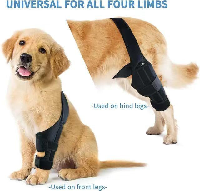 Pet Protective Gear, Dog Leg Injury Assistance, Support Bar, Rehabilitation Training Belt