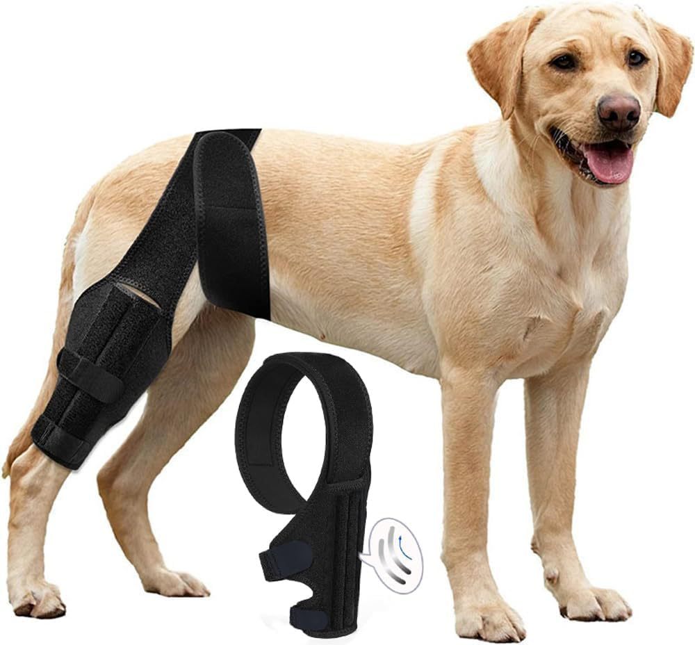 Pet Protective Gear, Dog Leg Injury Assistance, Support Bar, Rehabilitation Training Belt