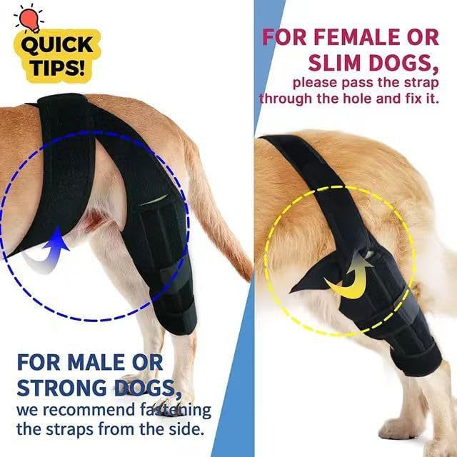 Pet Protective Gear, Dog Leg Injury Assistance, Support Bar, Rehabilitation Training Belt