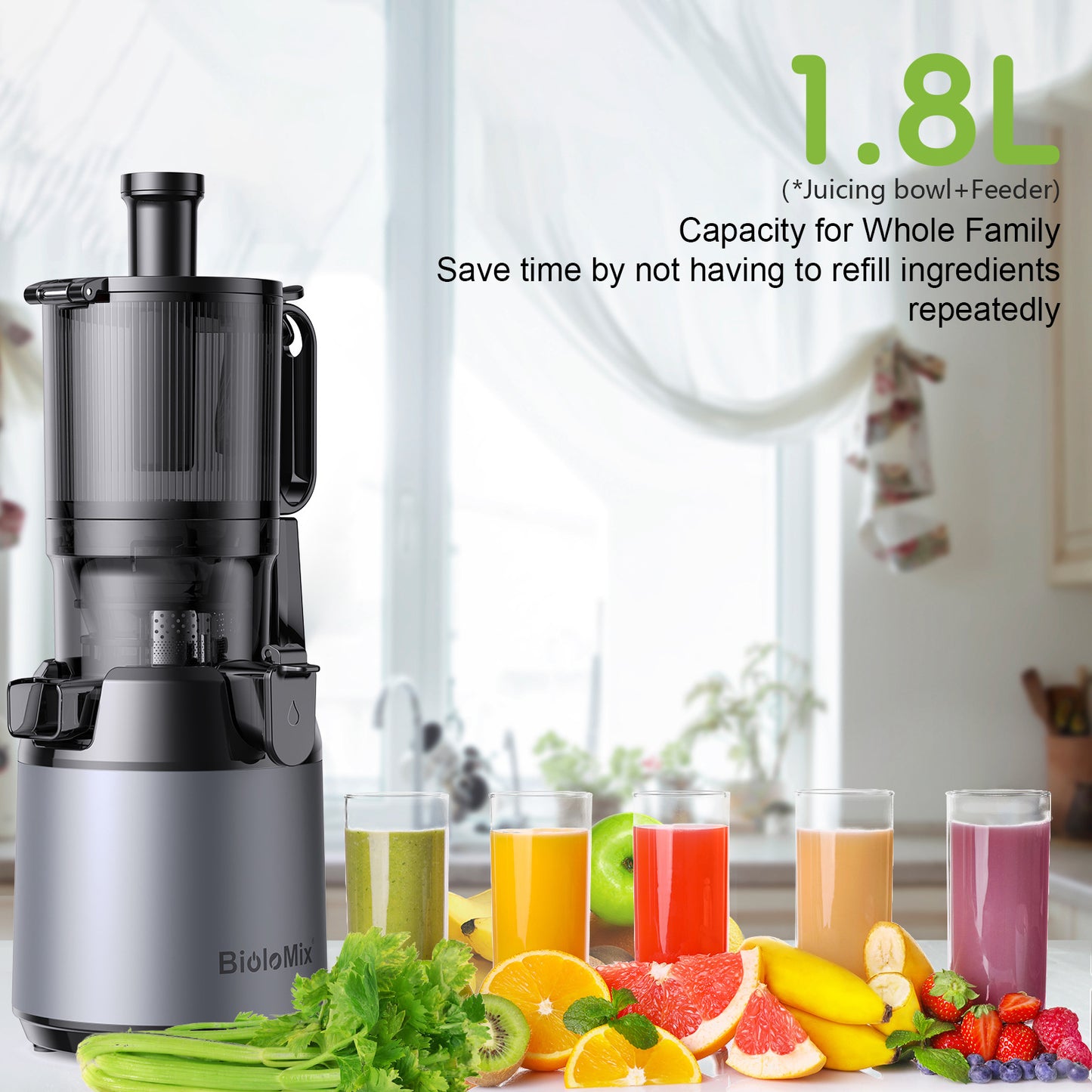 Large Capacity Juicer