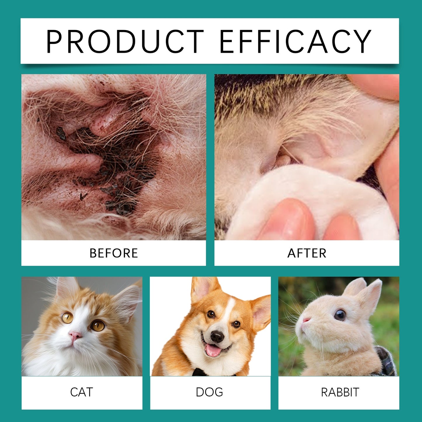 Pet Cleaning And Decontamination Ear Wash