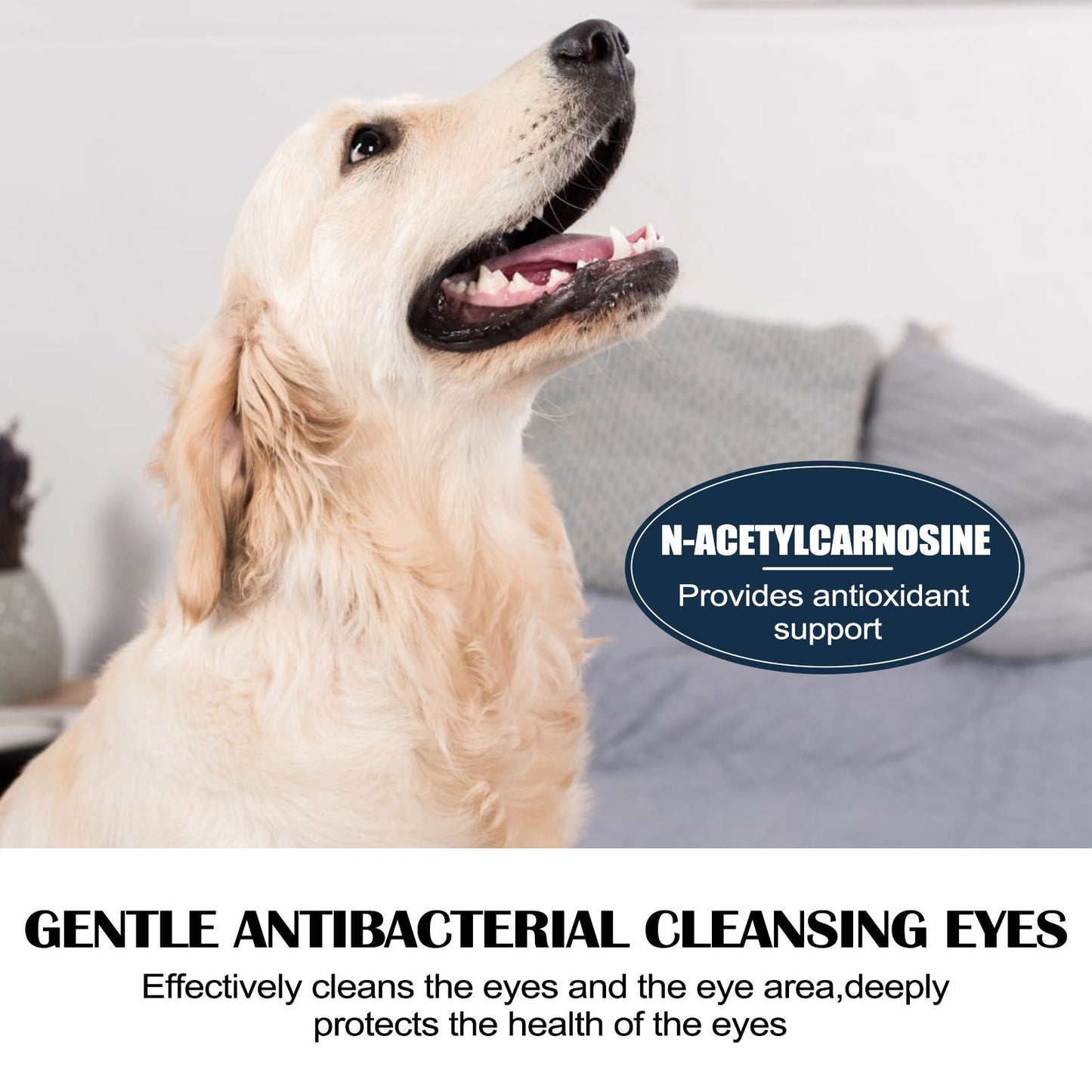 Pet Eye Drops for Tear Removal, Relief of Itching