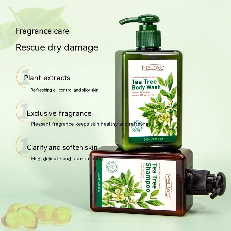 Shower Gel, Lasting Fragrance, Nourishing Moisturizer