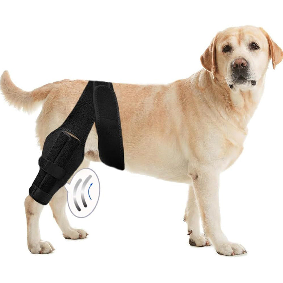 Pet Protective Gear, Dog Leg Injury Assistance, Support Bar, Rehabilitation Training Belt