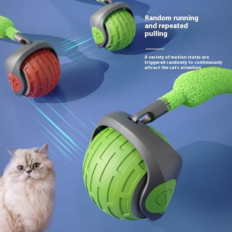Interactive Cat Toy, USB Rechargeable.