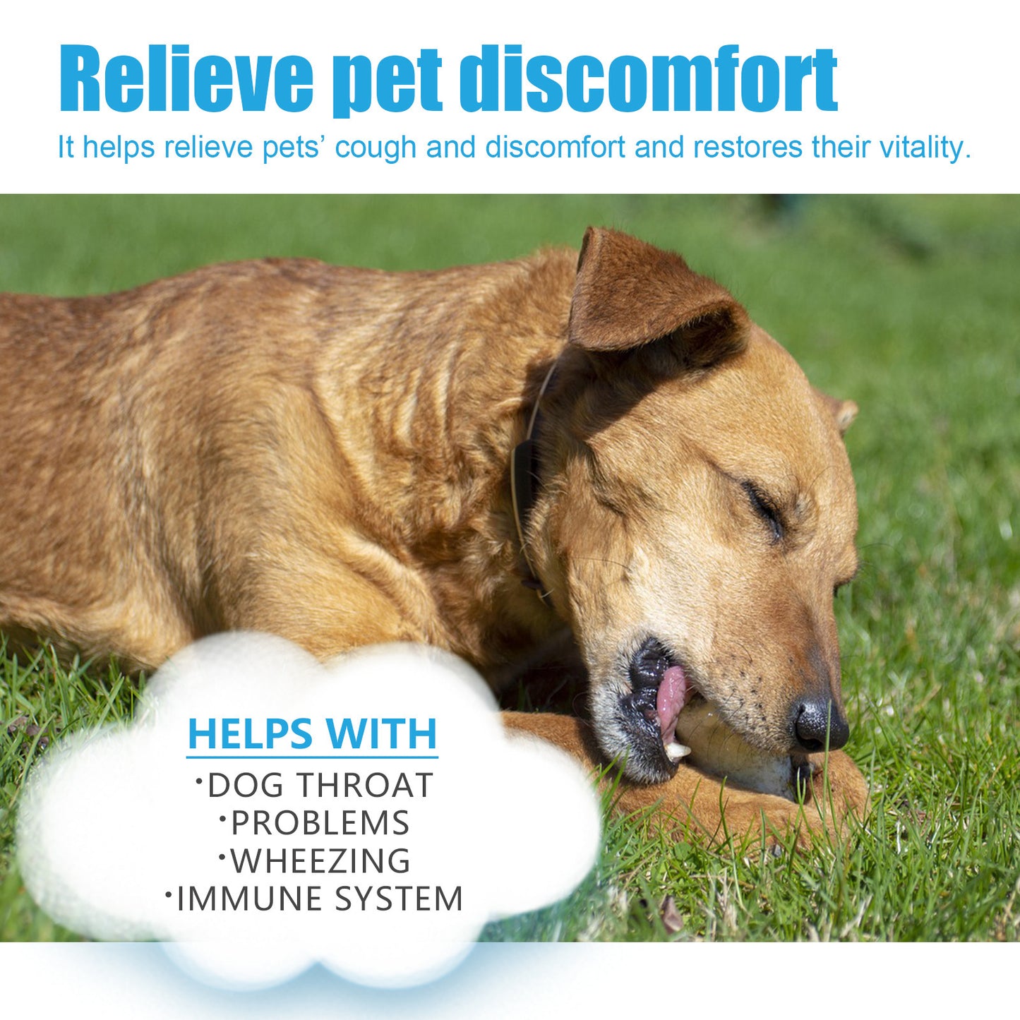 Pet Herbal Relief Drops for Cough, Runny Nose
