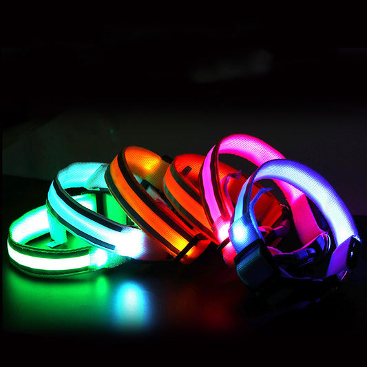 Anti-LOST Pet/Dog, LED Luminous Pet/Dog Collar