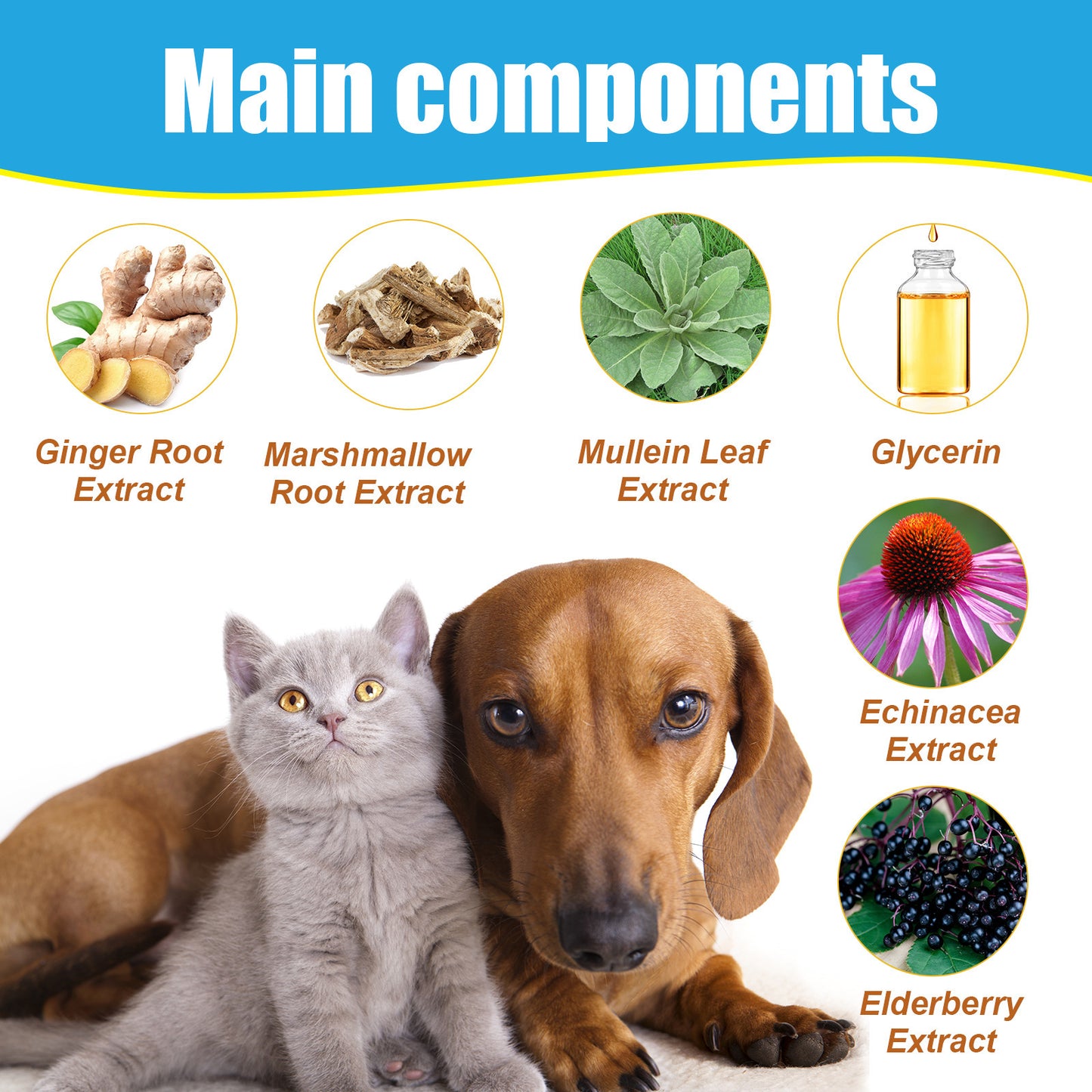 Pet Herbal Relief Drops for Cough, Runny Nose